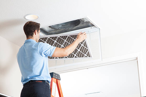 Best Affordable HVAC Services  in Forest Lake, MN
